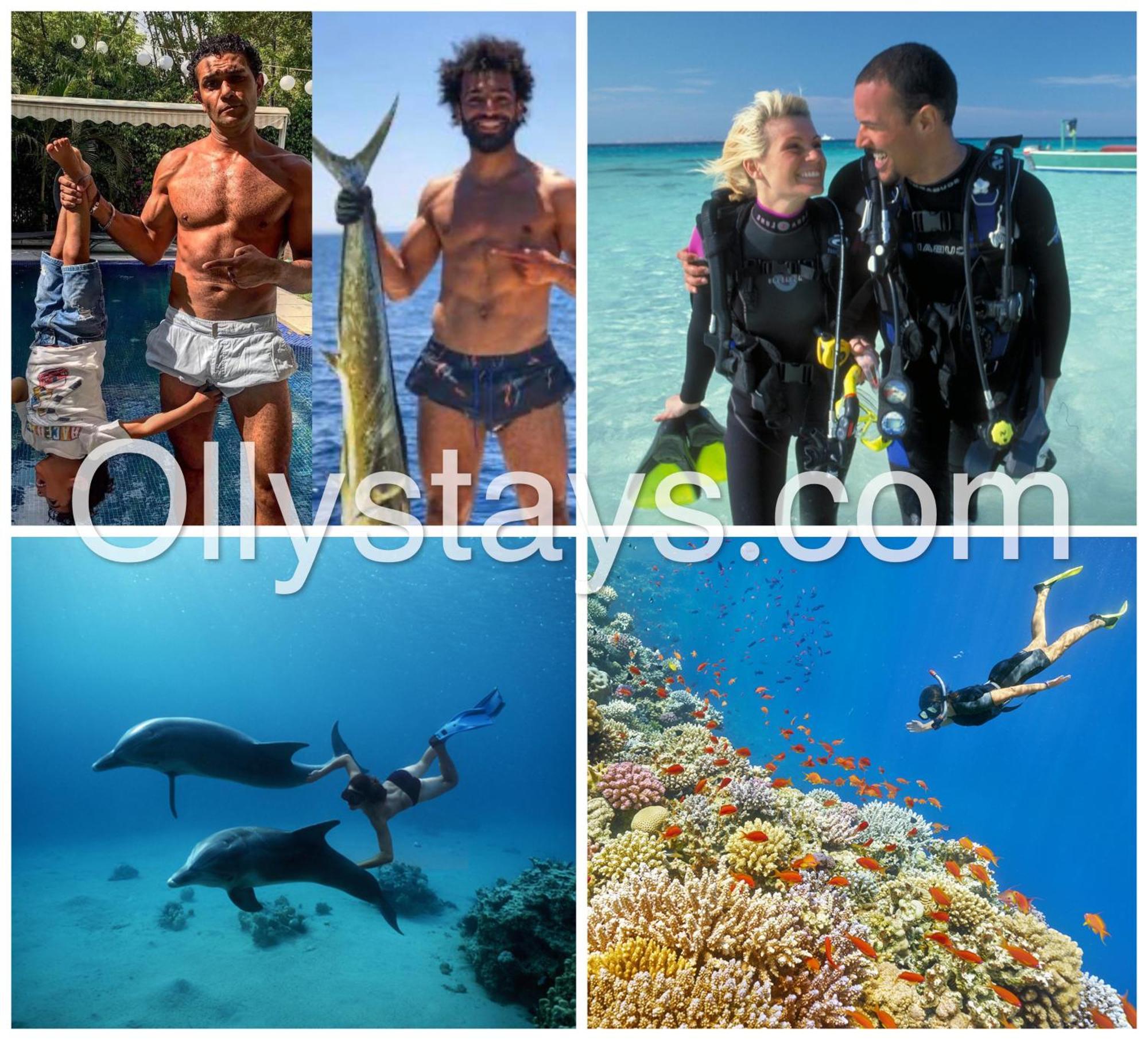 Ollystays Mangroovy Seaview 1Br Beach And Pool Free Access Hurghada Bagian luar foto
